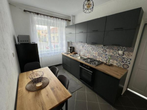 Apartmán u Šenků